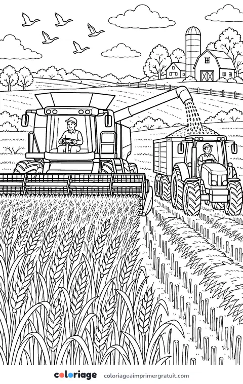 Coloriage la moisson