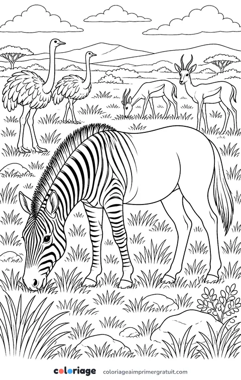 Coloriage le quagga